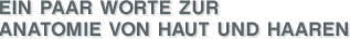 Ein paar Worte zur Anatomie von Haut und Haaren